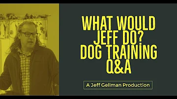 What Would Jeff Do? Dog Training Q&A #423 | Dog pulls on walks | Crate training an older dog