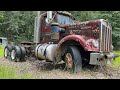 Can We Crank This Old KENWORTH W900? SAT FOR 20+ YEARS!