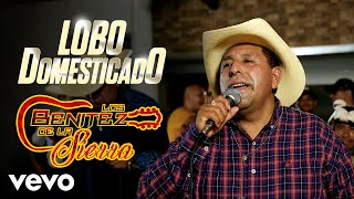 Los Benitez De La Sierra - Lobo Domesticado