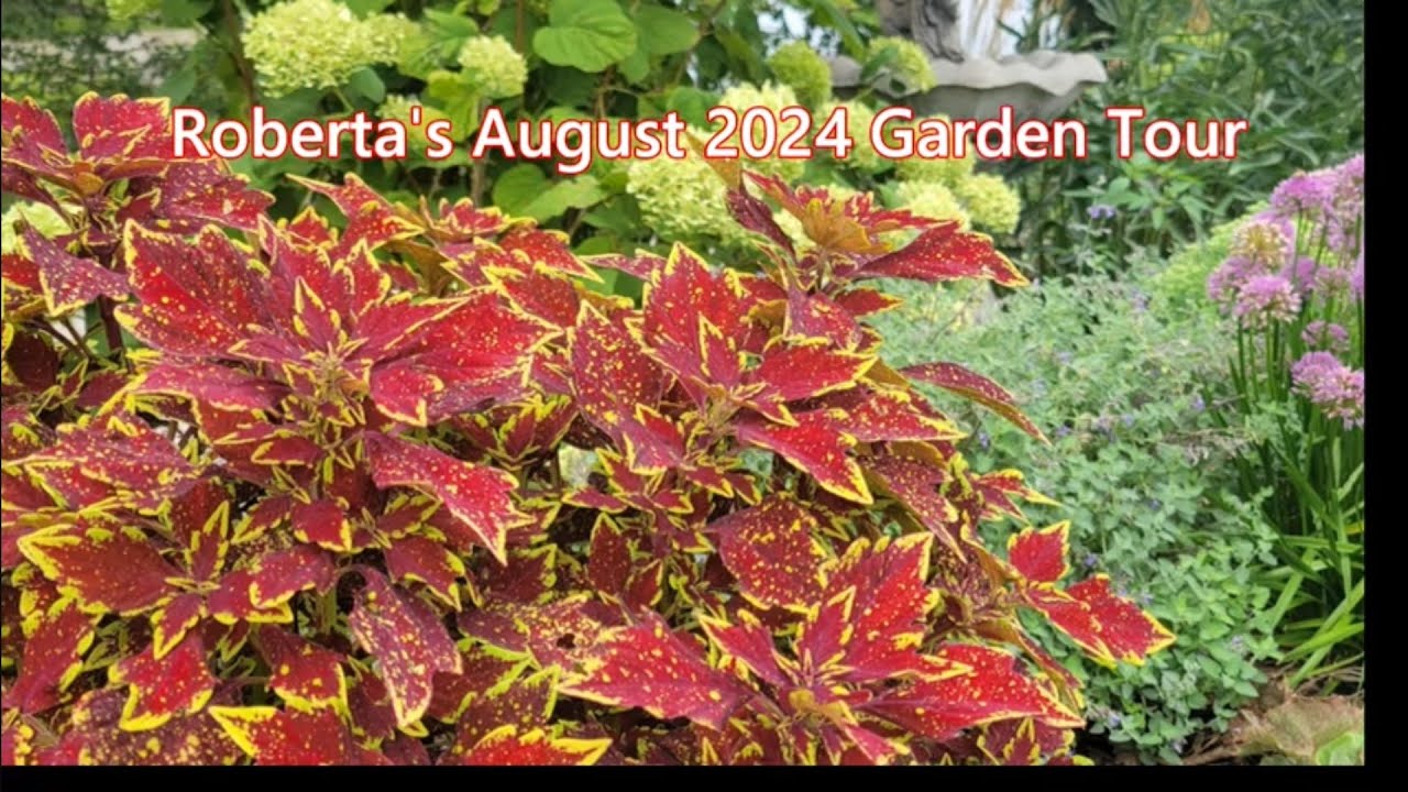 Садовый тур Роберты SABLE Stitchers в августе 2024 года