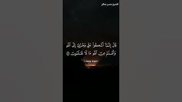 القارئ الشيخ حسن صالح