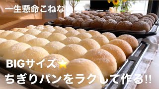 天板いっぱい大きなちぎりパン‼️2色作って大満足~翌日もずっと柔らかい。Big soft milk pan