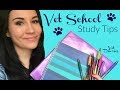 VET SCHOOL STUDY TIPS | Vet Diaries