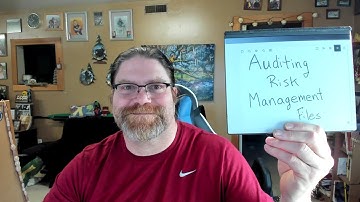 Auditing Risk Management Files