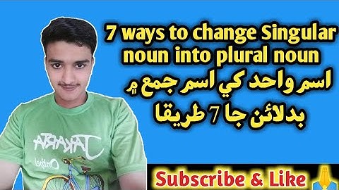 singular and plural noun English grammar in Sindhi with clear examples, exercise and tests in sindhi