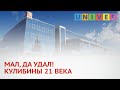 КУЛИБИНЫ 21 ВЕКА