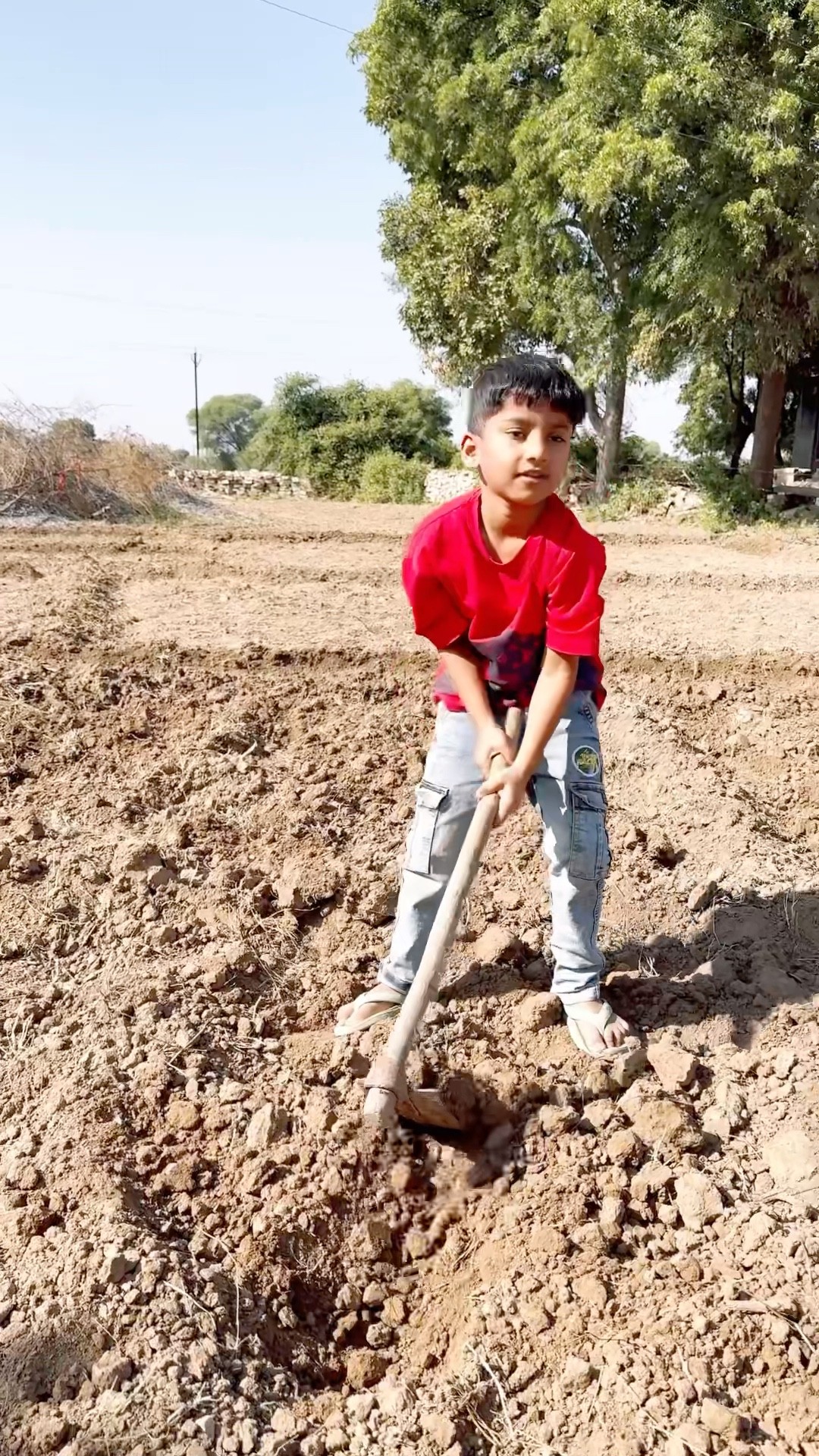 Anant ne ki farming ??