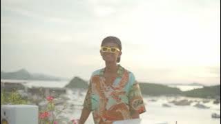 Oman Bean,Avicii, Calvin Harris, Kygo, Alok, Robin Schulz, David Guetta, Gryffin   Summer Vibes Mix