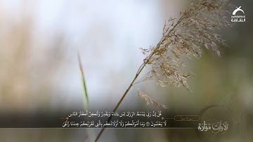 القارئ: ناصر القطامي ــ سورة سبأ| تلاوات مؤثرة