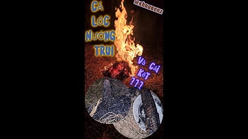 Cá Lóc Nướng Trui, Đậm Đà Hương Vị Miền Tây ! #viralvideo #trending #youtube #vlog #travel #reels