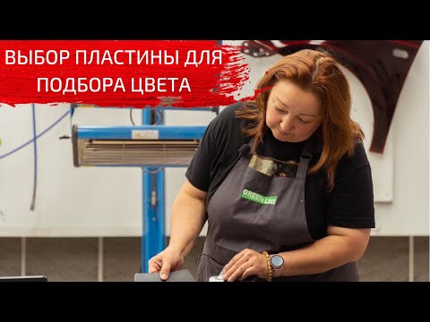 Video: Kateri dve plasti vsebujeta kloroplaste?