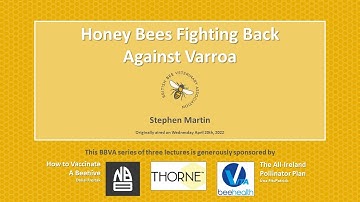 BBVA - Honey Bees Fighting Back Against Varroa