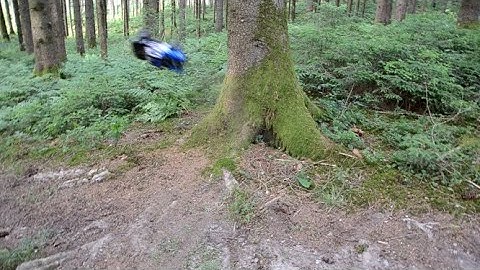 Arrma Senton Wald bashing