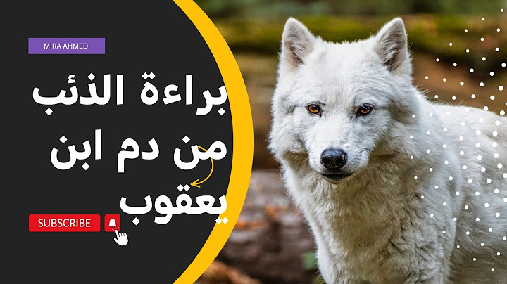 انا برئ براءة الذئب من دم ابن يعقوب الحكاية وراء براءة الذئب من دم سيدنا يوسف عليه السلام