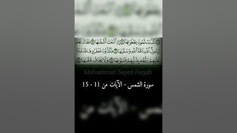 سورة الشمس - الآيات من 11 - 15 - مسجد أبو داود الفيوم