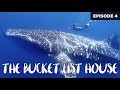 HOUSE TOUR : Guest Room - Want to Swim with a WHALE SHARK??! Be Our GUEST!!