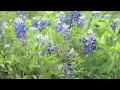 VEDA 2015 - Day 12