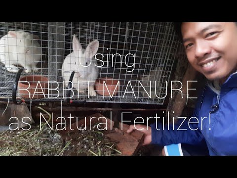 वीडियो: क्या मुझे साइट पर खरगोश की खाद का उपयोग करना चाहिए?
