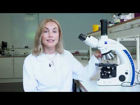 Video: Er et dissekerende mikroskop et lysmikroskop?