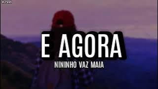 Nininho Vaz Maia - E Agora (Letra)