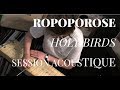 896 ropoporose  holy birds session acoustique