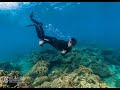 The Parents Explore Australia (Sydney, Coral Coast Western Australia, Whale Sharks)