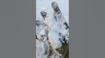 Tuyết đầu mùa ở Đức rơi #thuytitoduc #cuocsongoduc#cuocsongnuocngoai #docla