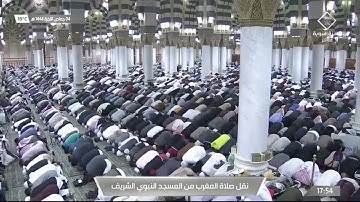 ماتيسر من سورة الحجر لـ فضيلة الشيخ #صلاح_البدير صلاة المغرب الإربعاء ٤ جمادى الآخرة ١٤٤٤هـ