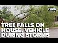 Family narrowly escapes after tree falls on Baltimore house, vehicle during storms
