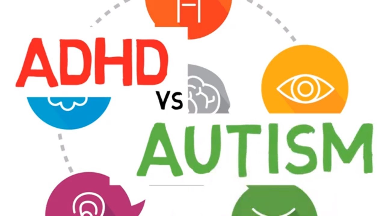 ADHD vs AUTISM Sensory Processing YouTube