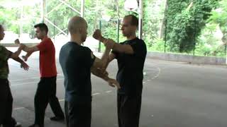 Wing Chun CRCA Combat Techniques 31