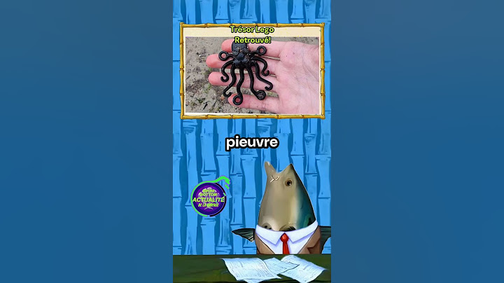 Trésor Lego  Retrouvé!
