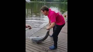 Улов! Юрий Шатунов на рыбалке. #shorts #shortvideo #fishing #рыбалка ￼