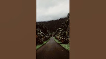 {أَفَلَمْ يَنظُرُوا إِلَى السَّمَاءِ} عبد الباسط|سورة ق|#عبدالباسط_عبدالصمد|#عبد_الباسط|#قرآن
