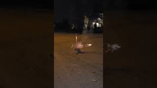 fireworks 6