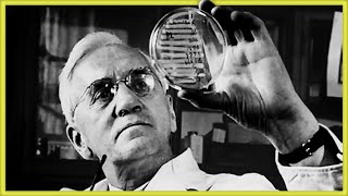 How Alexander Fleming Discovered Penicillin screenshot 3