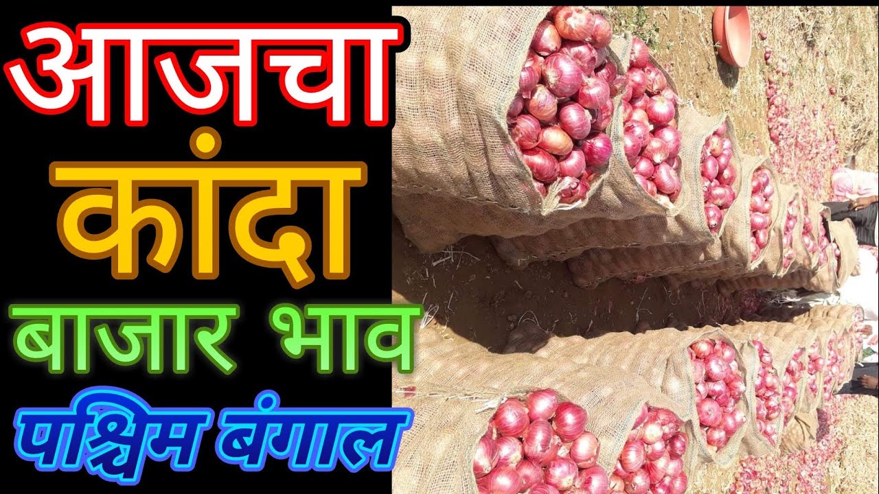 पश्चिम बंगाल येथील कांदा बाजार भाव ## Onion price in West Bengol# प्याज के मंडी दाम