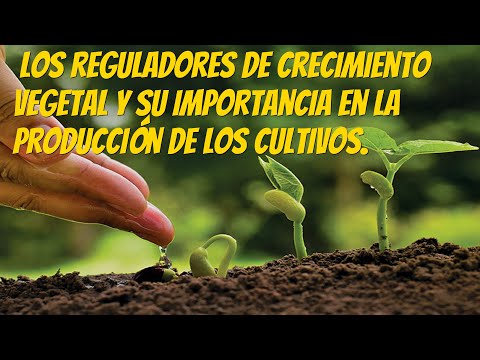 Video: Fertilizantes Minerales Y Reguladores Del Crecimiento De Plantas Zeba®, Kornevin®, Emistim®