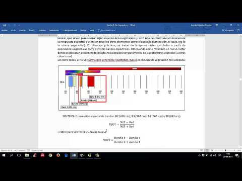 Vídeo: Com Es Calcula L’índex De Rendibilitat