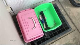 pindah kerumah baru