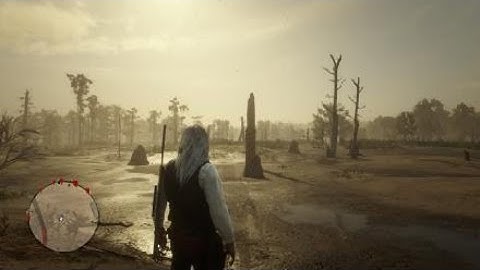 Red Dead Online invisible man