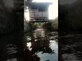 Sungai masa kecil #nature #asmrnature