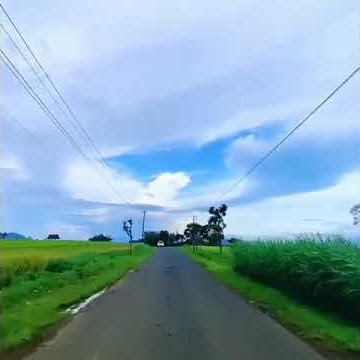 satru mentahan video tiktok