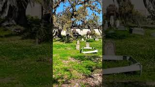 Holt Cemetery In New Orleans, Louisiana