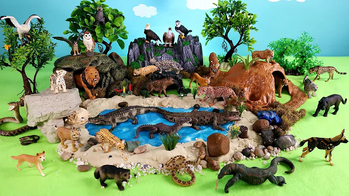 Safari Dioramas and Carnivore, Herbivore, Ominivore Animal Figurines - Learn Animal Names