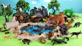 Safari Dioramas and Carnivore, Herbivore, Ominivore Animal Figurines - Learn Animal Names