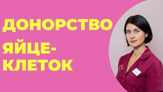 Кто может стать донором яйцеклеток?