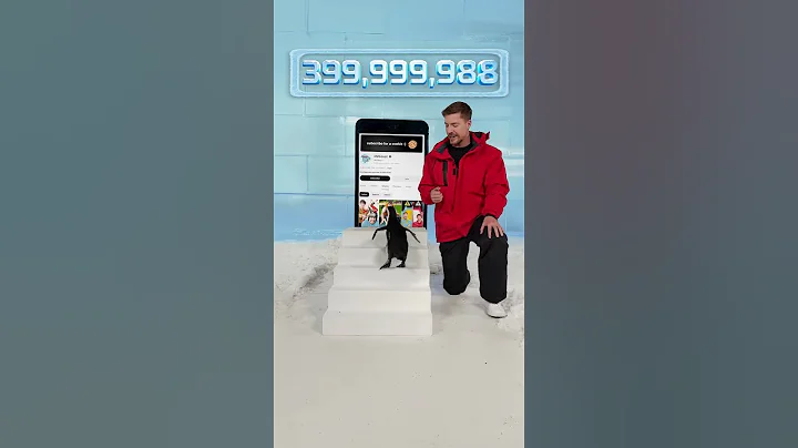 Can I Teach a Penguin To Subscribe? #shorts #viral #mrbeast #trending @MrBeast