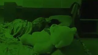 Osito de Peluche Poseido