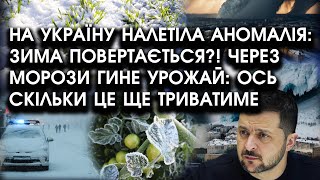 На Україну налетіла АНОМАЛІЯ: зима ПОВЕРТАЄТЬСЯ?! Через морози ГИНЕ урожай: ось де буде НАЙХОЛОДНІШЕ